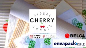 Global Cherry en Chile 2024